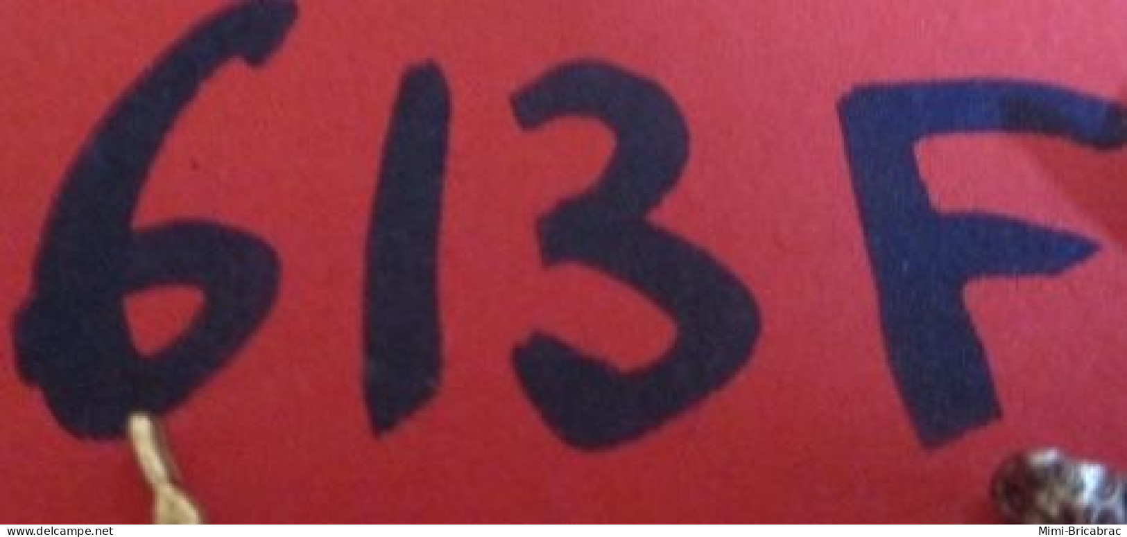 613F Pin's Pins / Beau Et Rare : INFORMATIQUE / Mini Pins ARBRE PRISONNIER D'UNE GRILLE Pas Bien ! LOGO HONEYWELL BULL - Informática