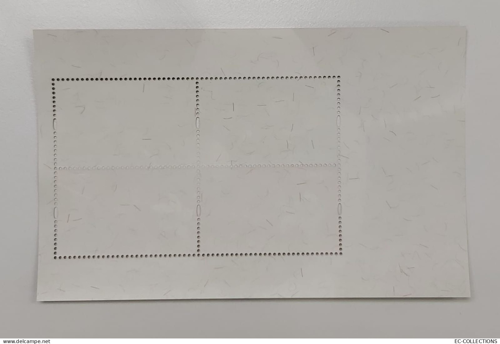 MS106 HONG KONG CHINA STAMP SHEETLET 2009 HK - BRAZIL JOINT ISSUE ON FOOTBALL MNH - Blocks & Sheetlets