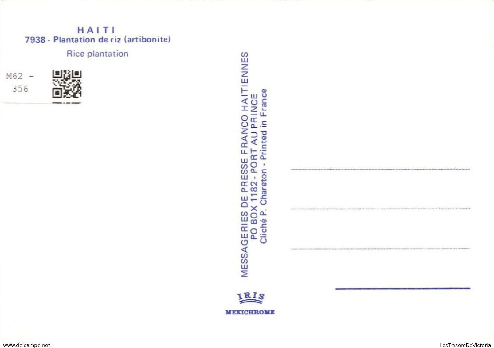 [-10%] ANTILLES - Haïti - Plantation De Riz (artibonite) - Rice Plantation - Carte Postale - Haiti