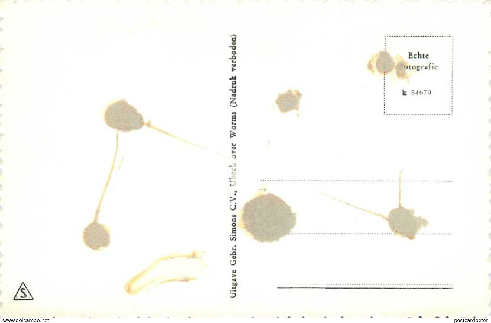 Harderwijk Groeten Uit - Harderwijk