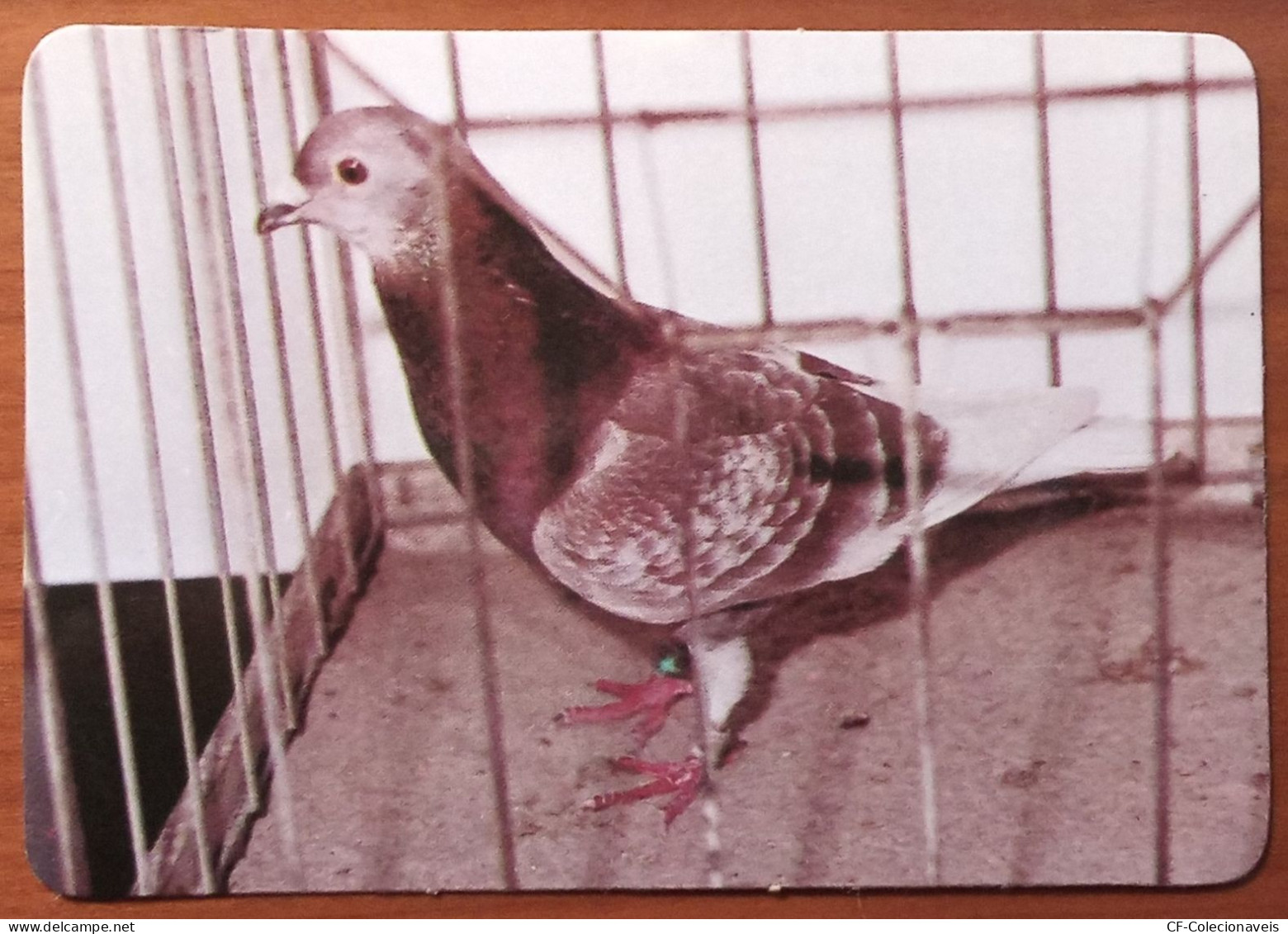 PORTUGAL - 1986/1987 - Collection Of 6 Advertising Pocket Calendars - "Carrier Pigeons" - 10 X 7 Cm - Formato Piccolo : 1981-90