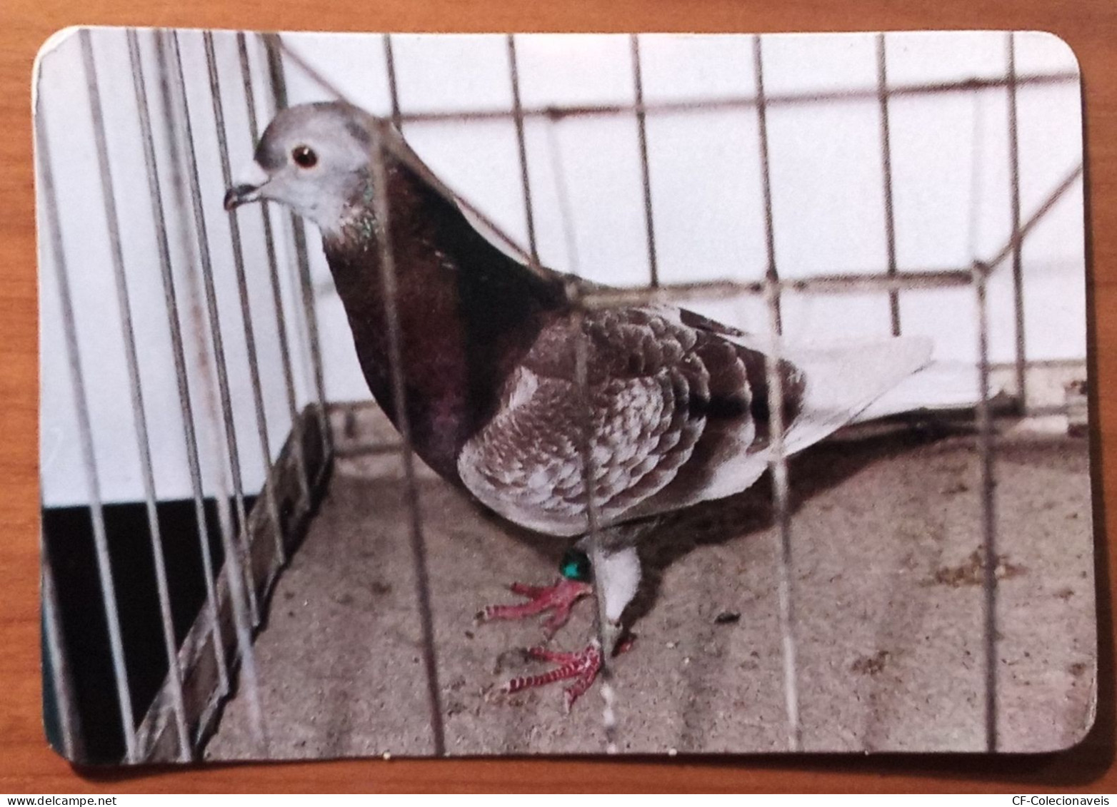 PORTUGAL - 1986/1987 - Collection of 6 Advertising Pocket Calendars - "Carrier Pigeons" - 10 x 7 cm