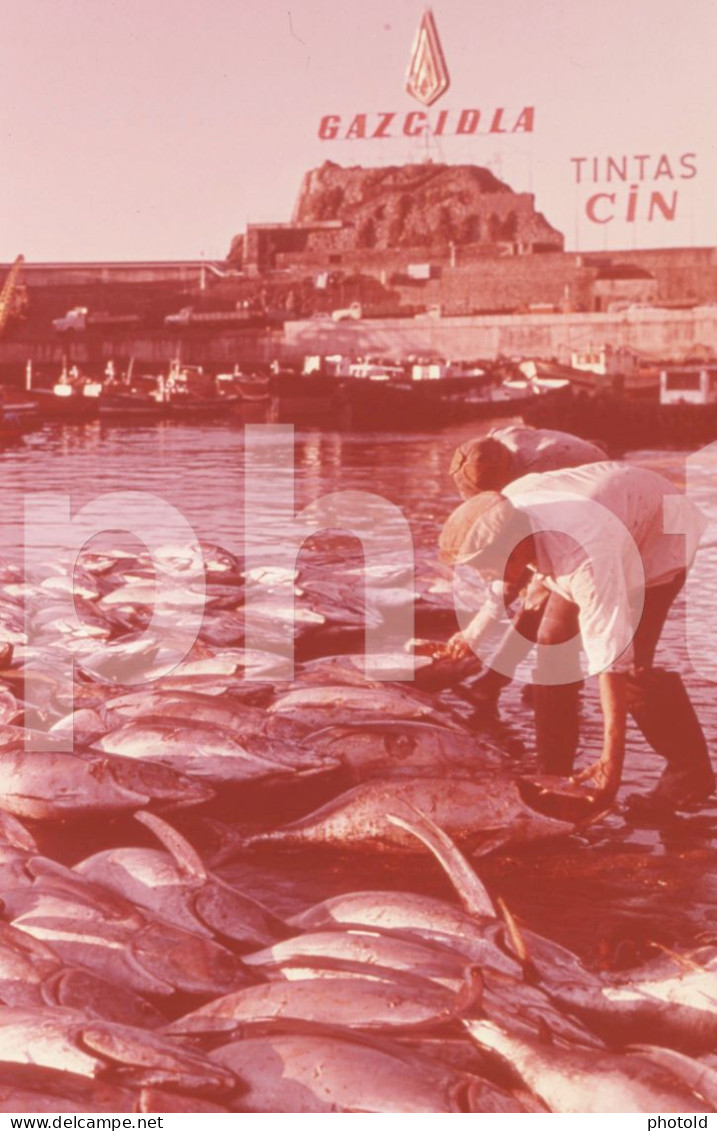 15 SLIDES SET ORIGINAL TOURIST 35mm SLIDES DIAPOSITIVE FUNCHAL ILHA MADEIRA ISLAND PORTUGAL SLIDES NOT PHOTO FOTO NB4439 - Diapositives (slides)