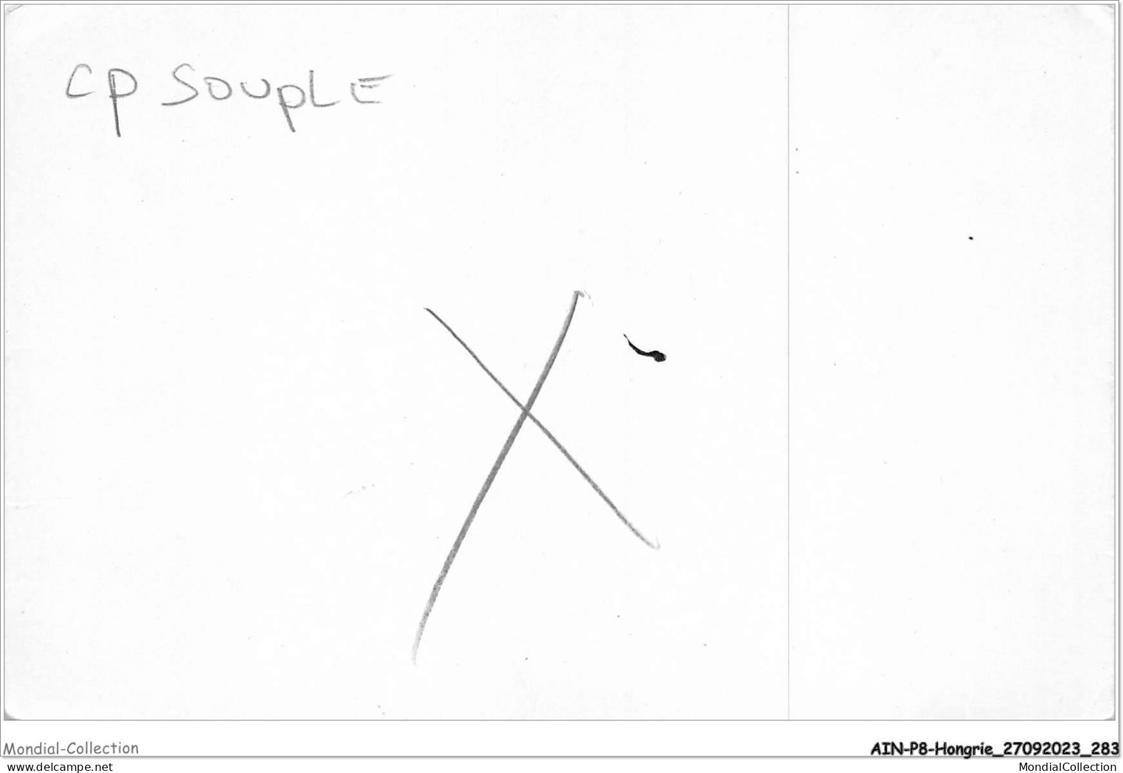 AINP8-HONGRIE-0796 - BUDAPEST - Keleti Palyaudvar - Ostbahnhof - Ungarn