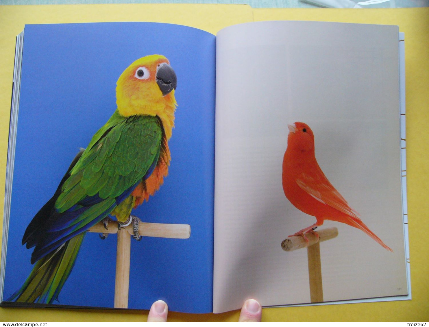 Catalogue Le Monde d' HERMES  Automne Hiver 2012 // Mode // Publicité Air France Champagne Roederer Saint Louis