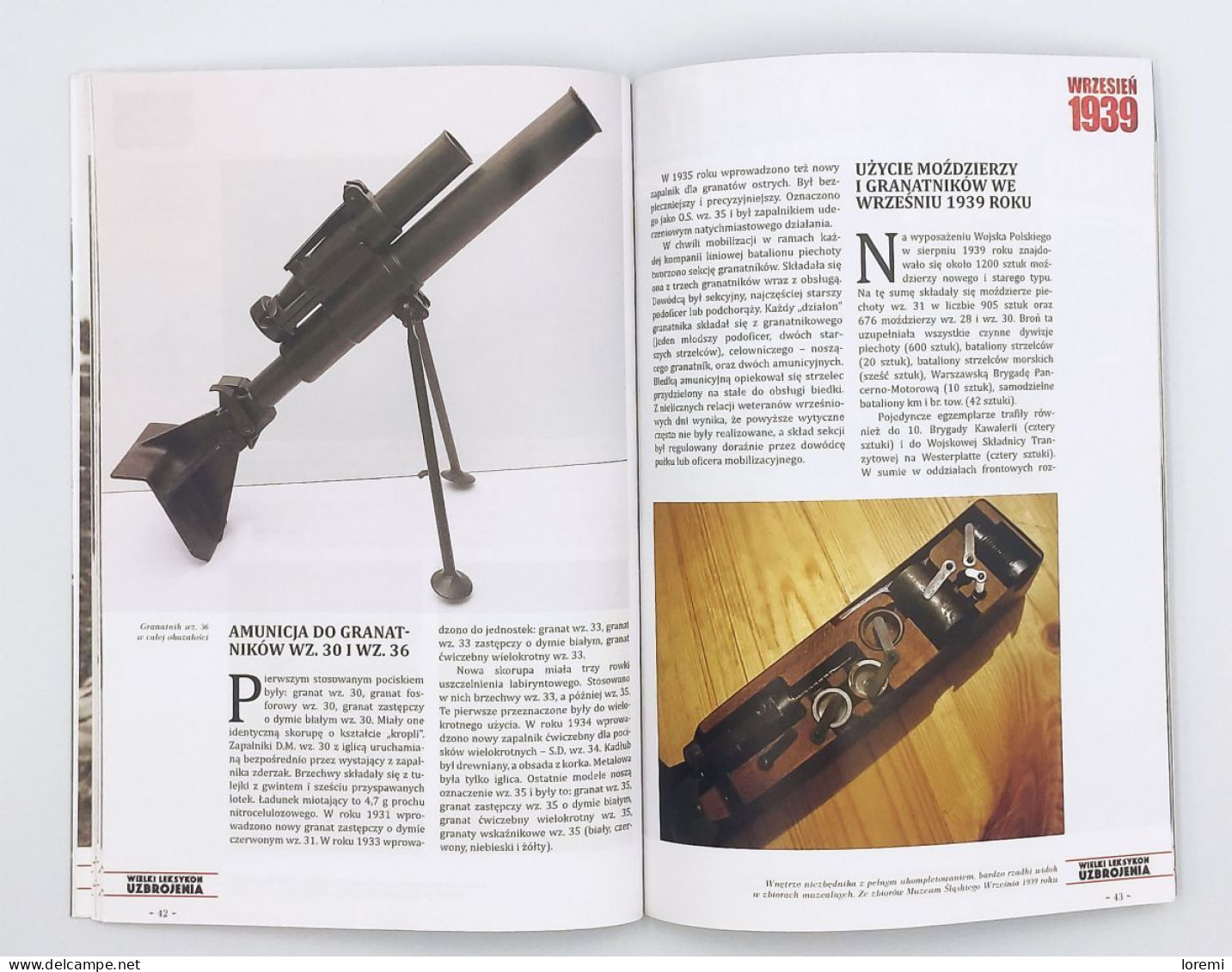 Lance-grenades wz.36 et mortier wz.31 Armement polonais 1939 - wz.36 Grenade Launcher wz. 31 Mortar Polish Armament 1939