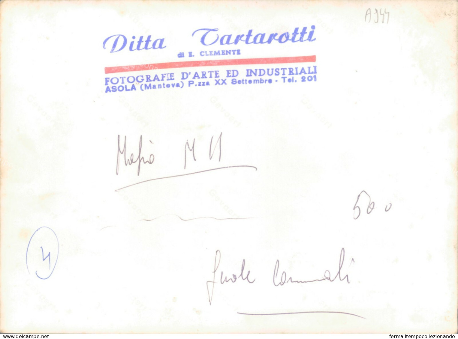 A944 Bozza Fotografica Moglio Provincia Di Mantova - Mantova