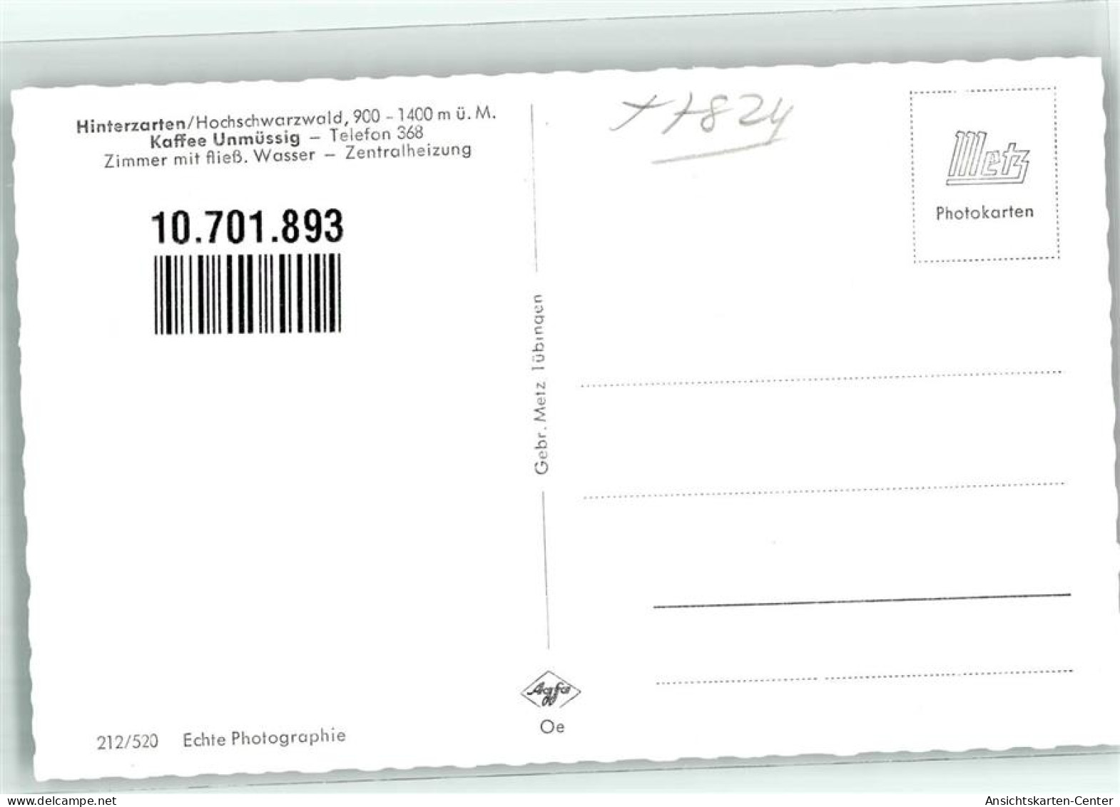 10701893 - Hinterzarten - Hinterzarten