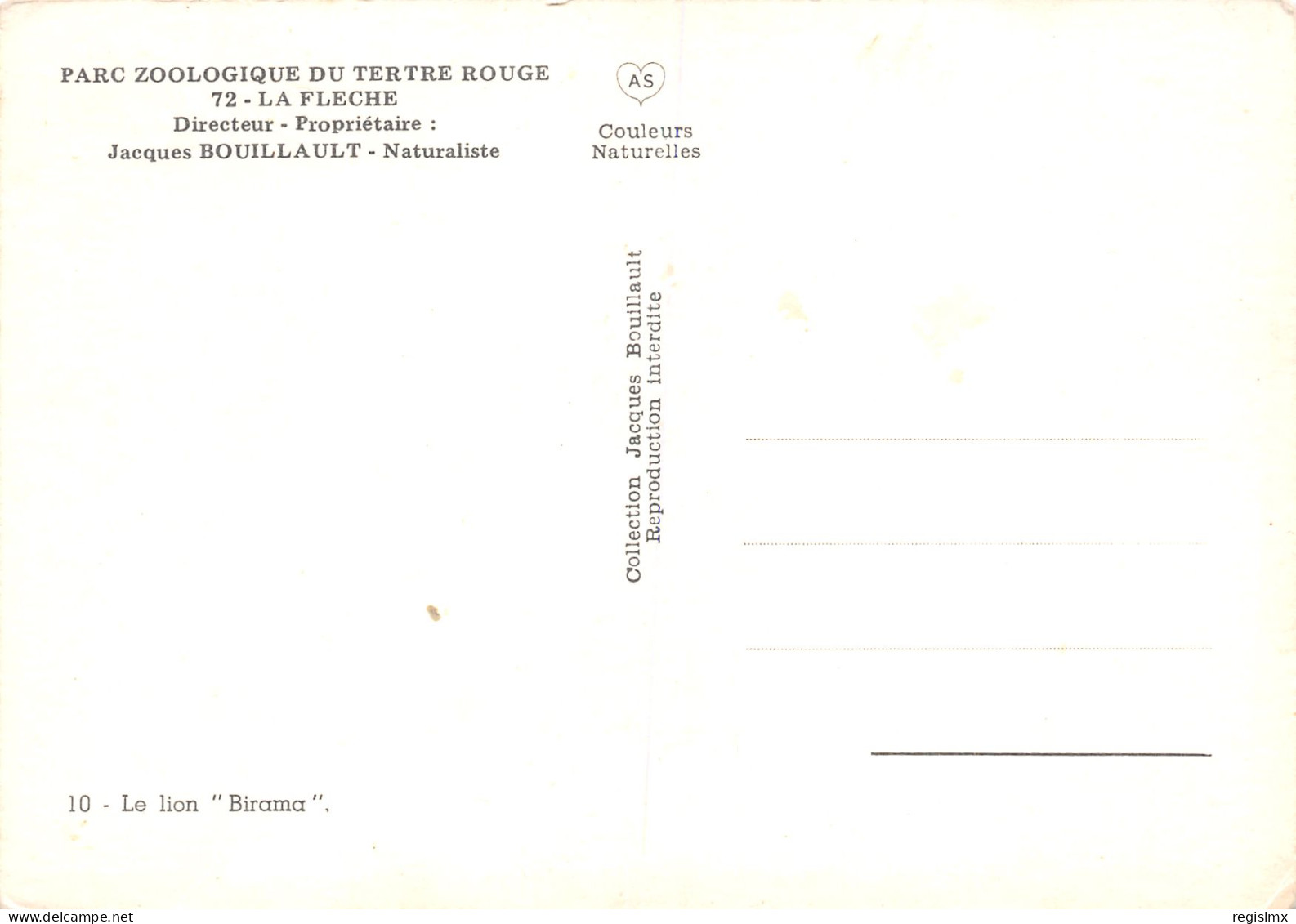 TH-LIONS-N°TB3540-B/0109 - Leeuwen