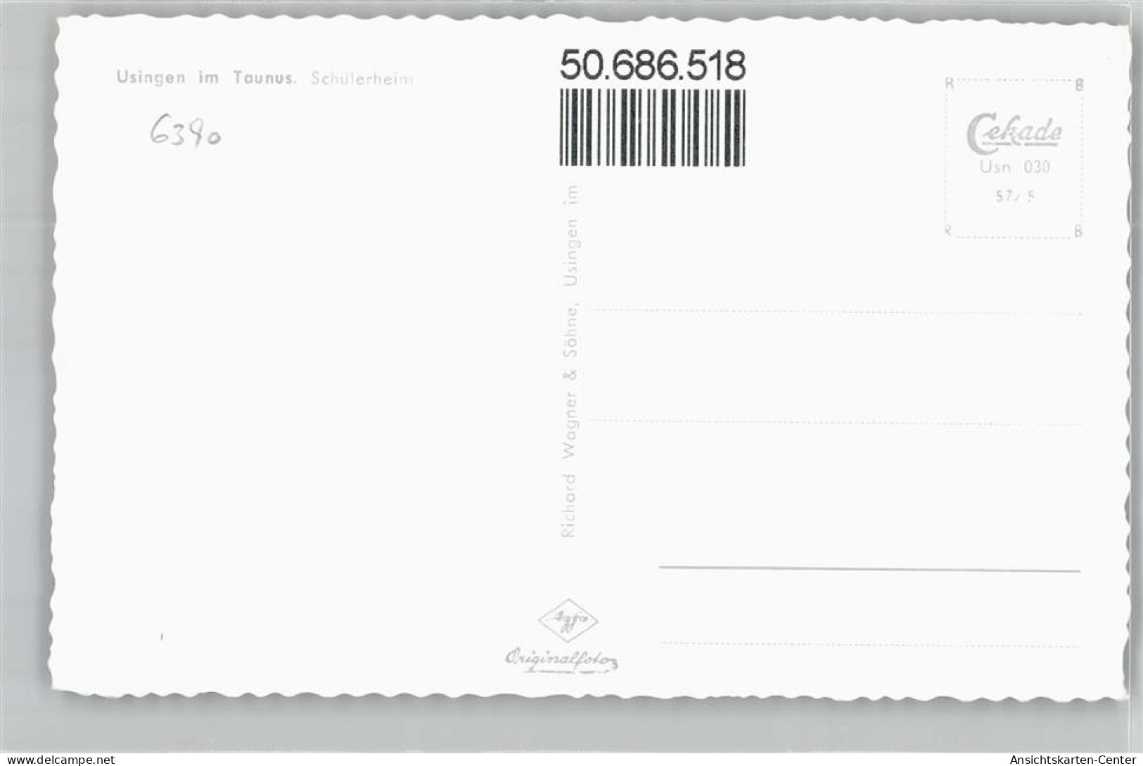 50686518 - Usingen - Usingen