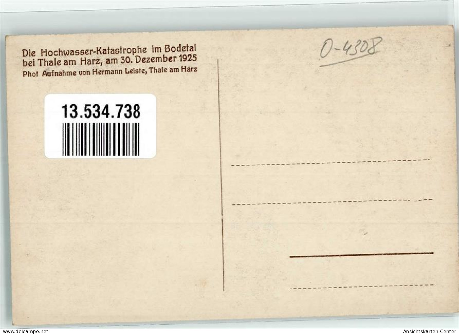 13534738 - Thale - Thale