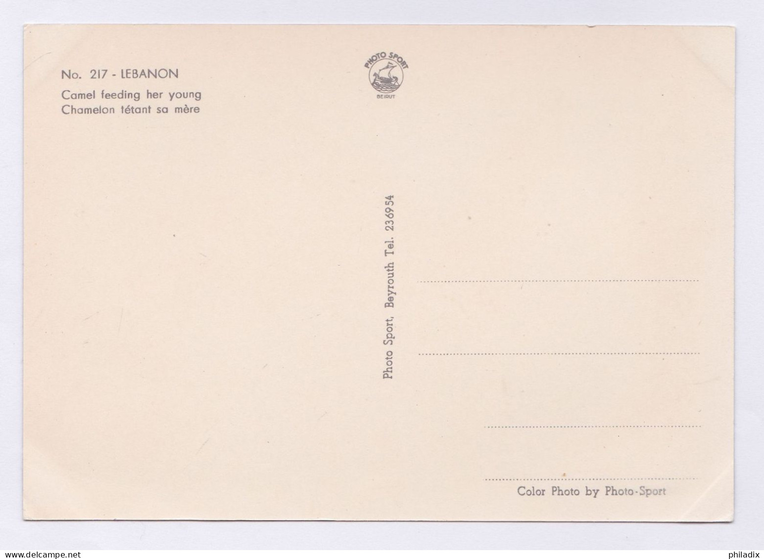 @ Libanon Chamelon Tétant Sa Mère (PK/137) - Libanon