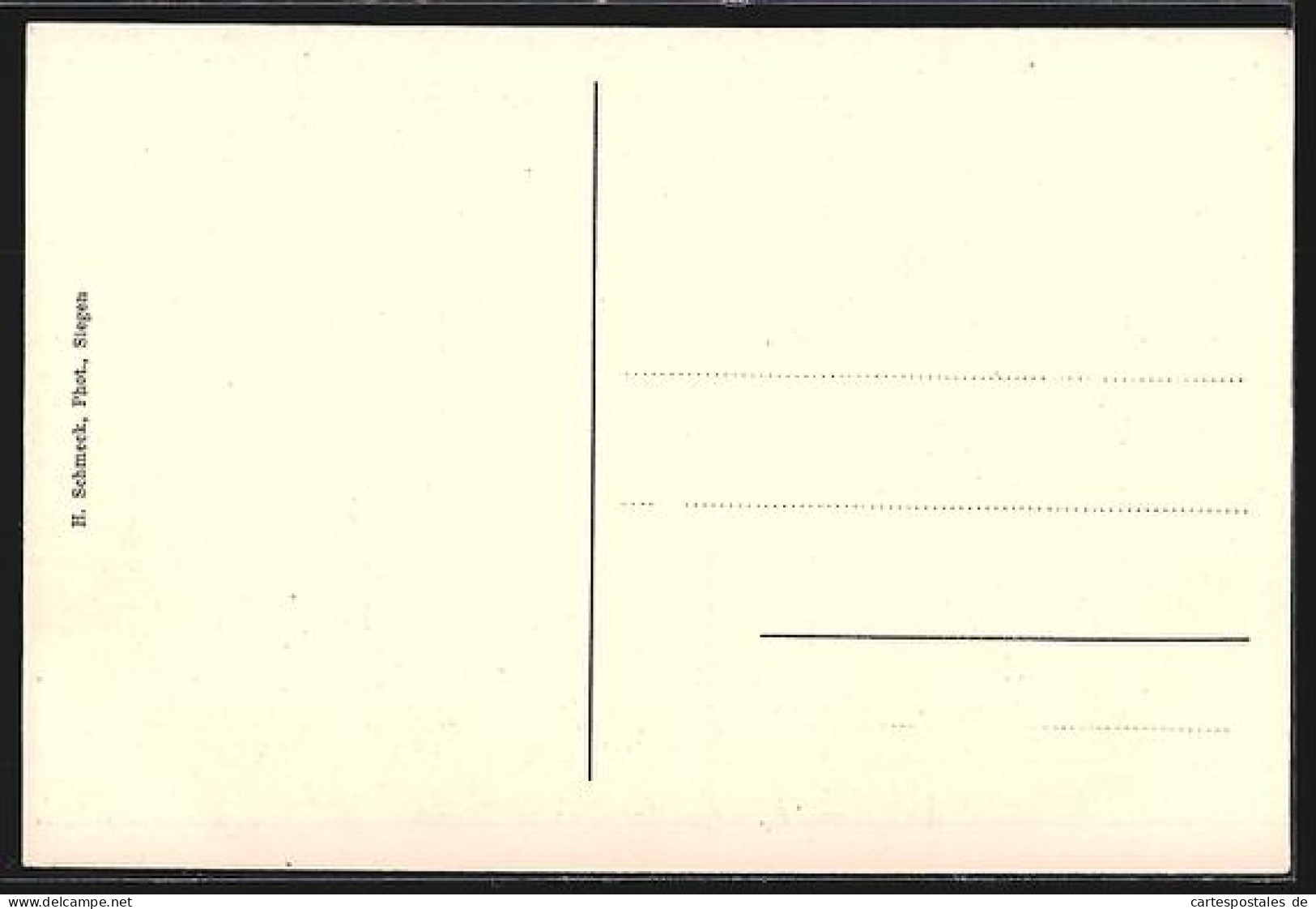 AK Siegen, Eremitage Am Wald - Siegen