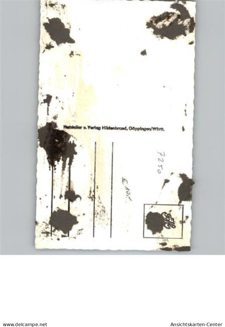 50152311 - Leonberg - Leonberg