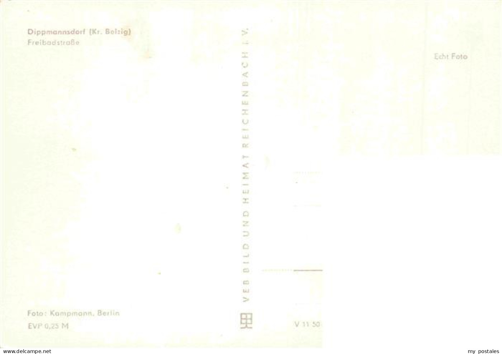 Dippmannsdorf Belzig Freibadstrasse - Belzig