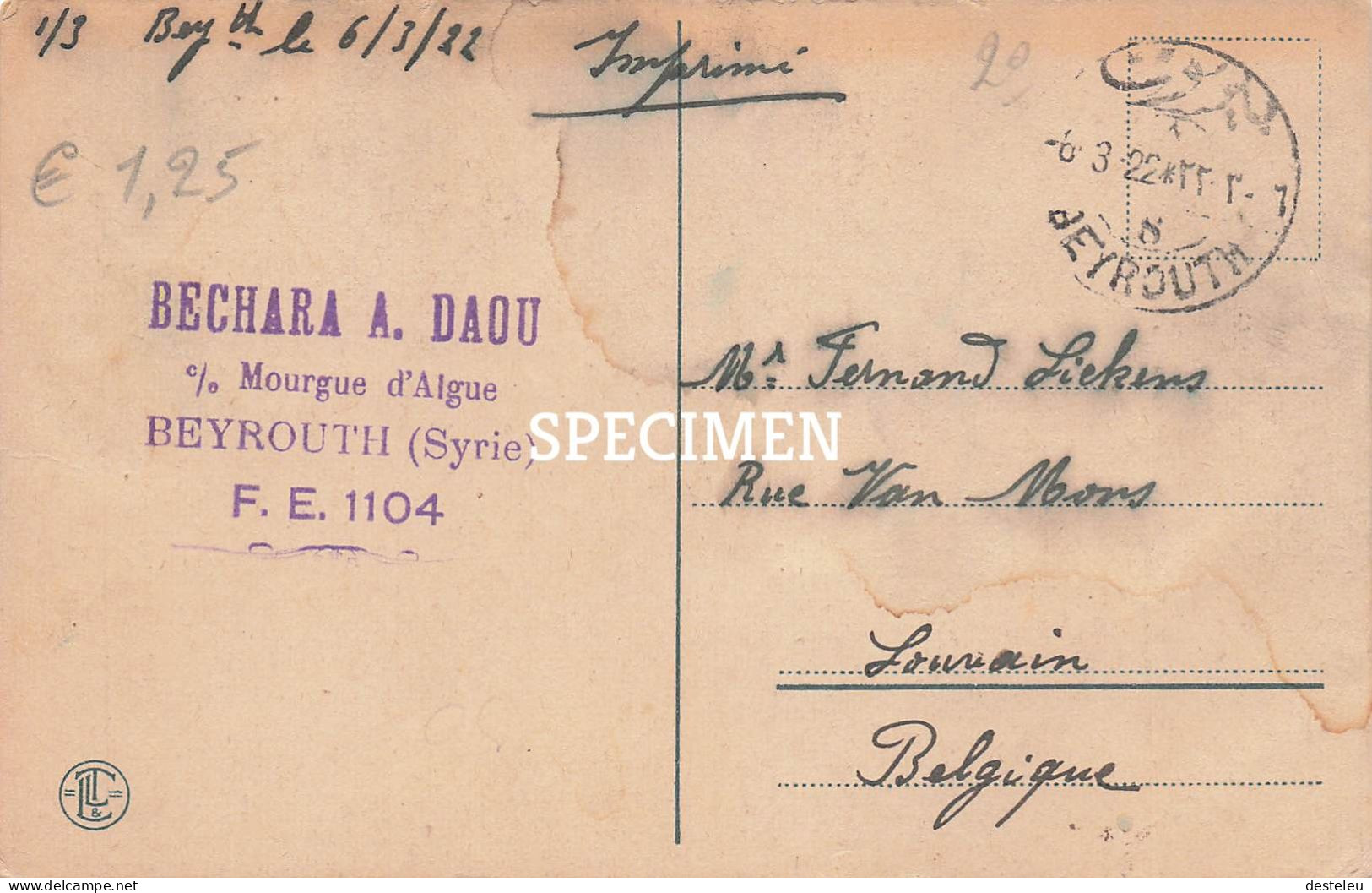 Amour Arabe - Syria - Syrien