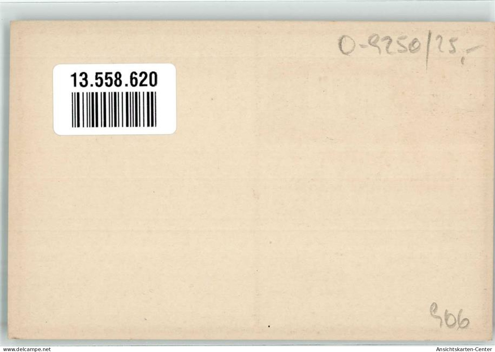 13558620 - Mittweida - Mittweida