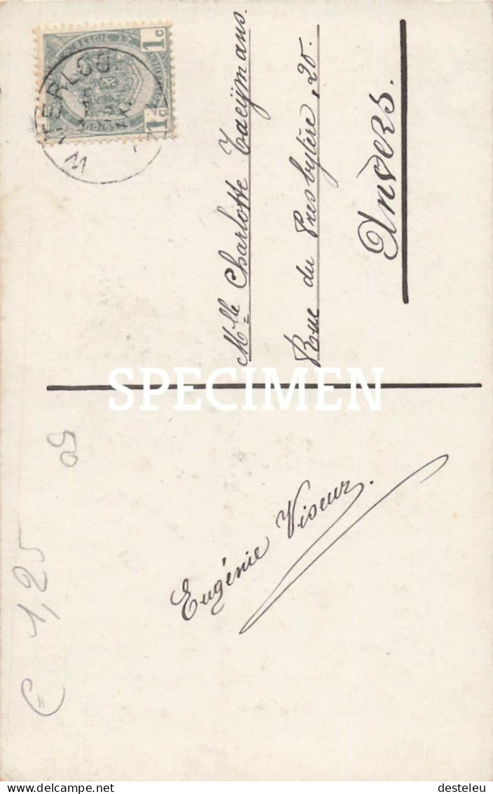 Farmer Family - Bauern