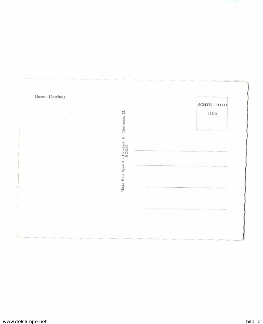 Boom - Gasthuis - Boom