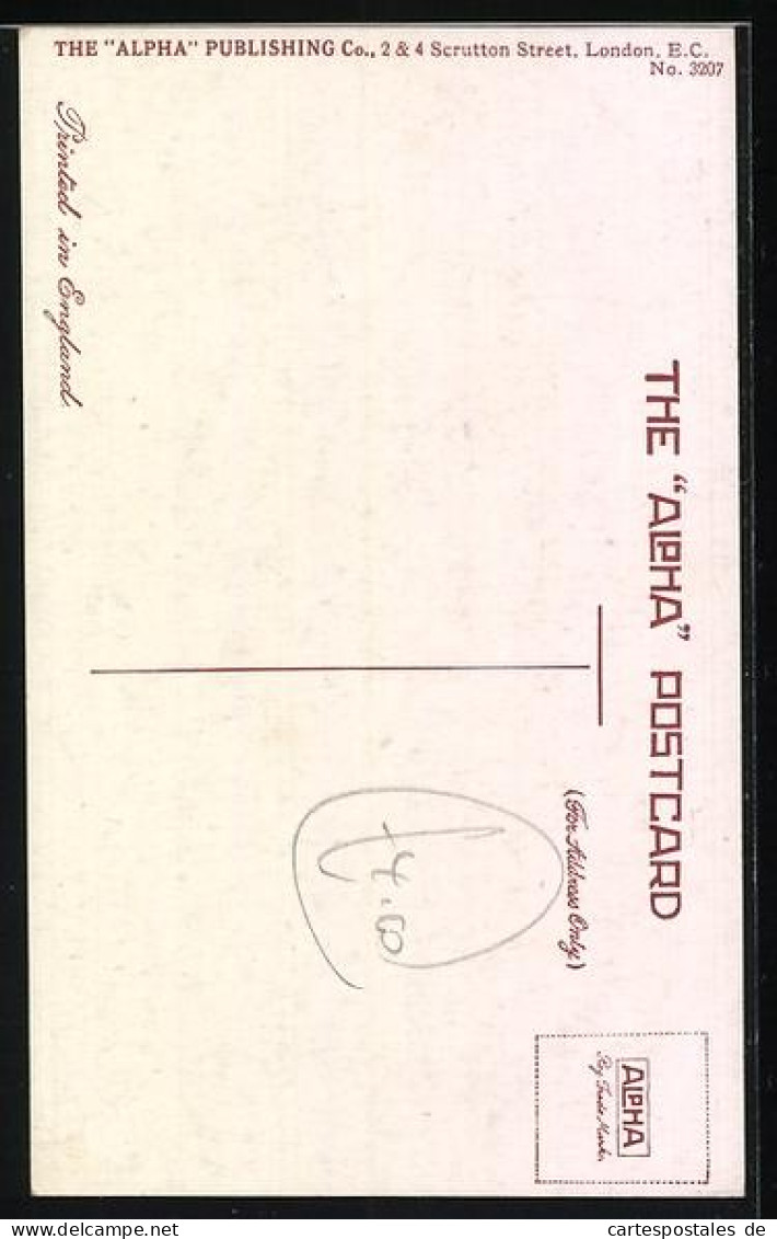 AK Chestnut Hunter, Reitpferd - Reitsport