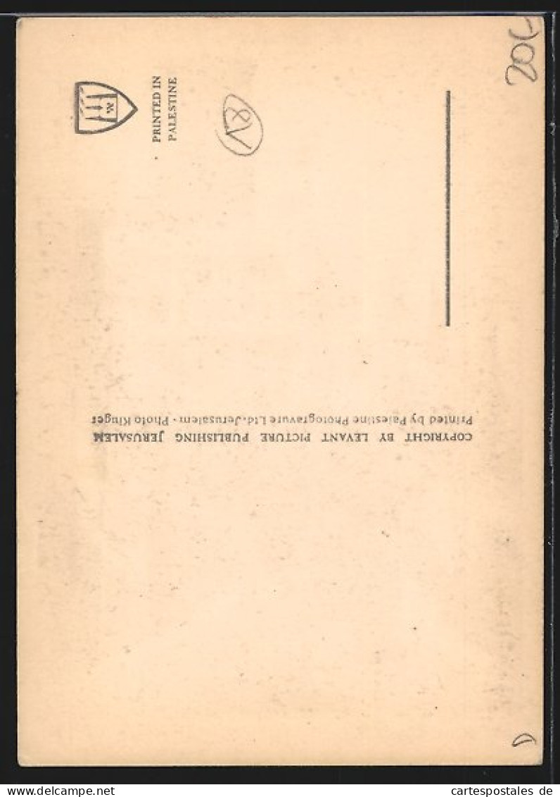 AK Tel-Aviv, Townhall - Palästina