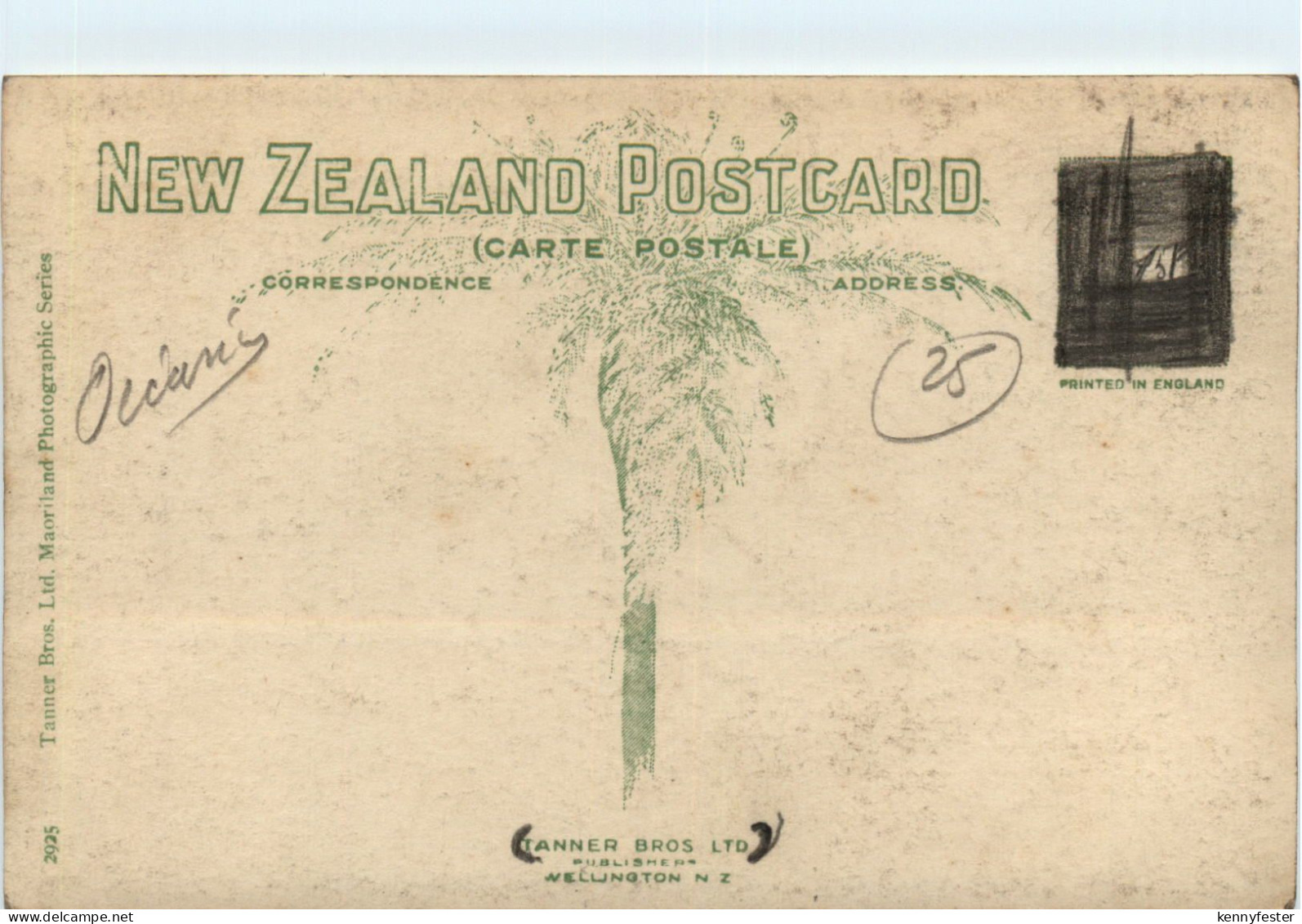 Wellington - Oriental Bay - Neuseeland