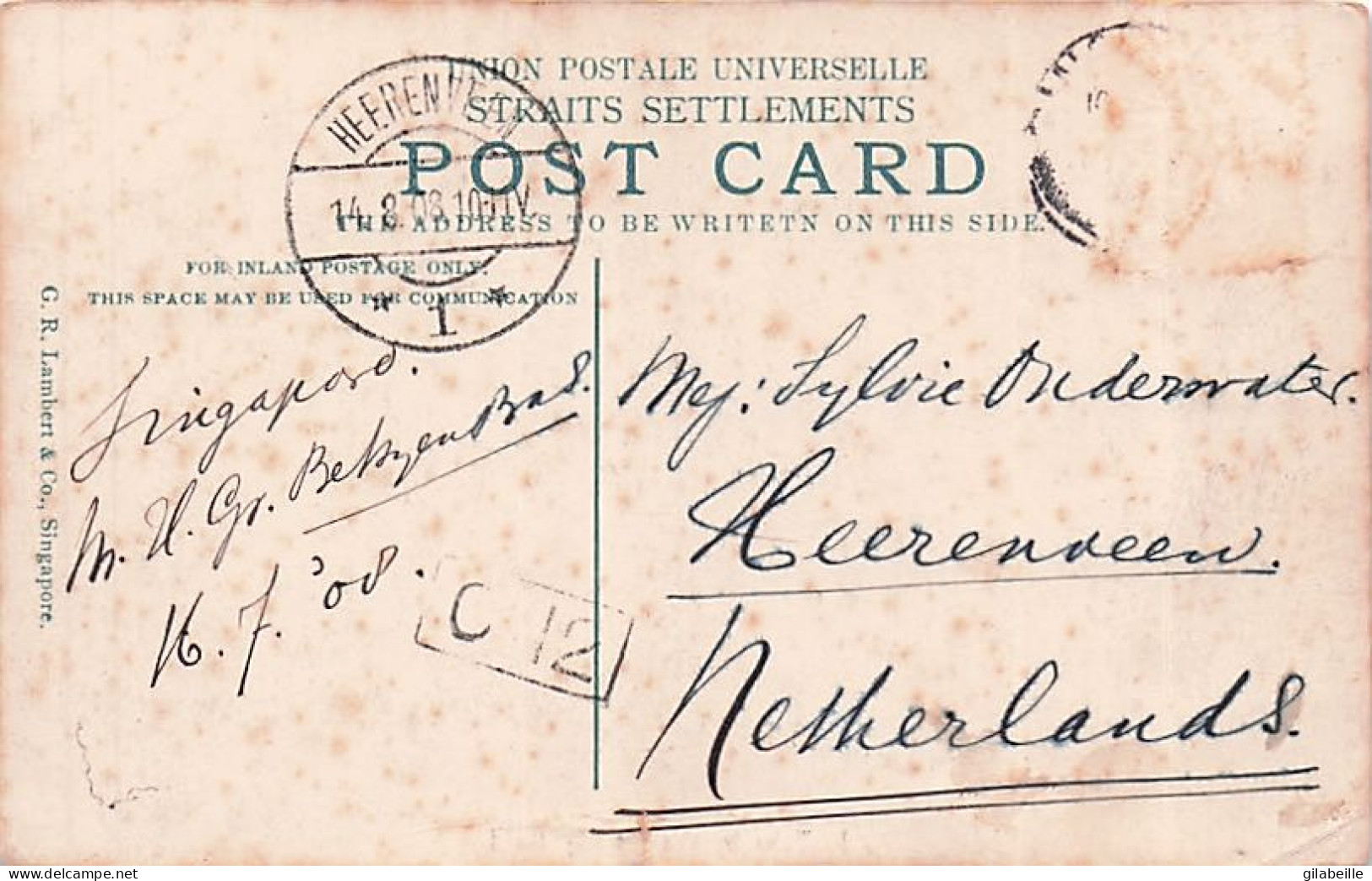 SINGAPOUR - Buffalo In The Paddy Field - 1908 - Singapur