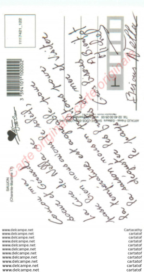 17.  SAUJON .  CP Multivues . - Saujon