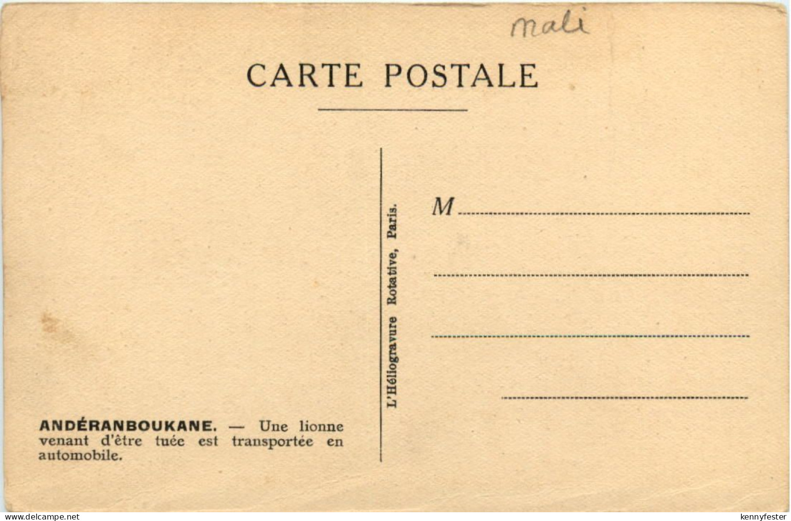 Anderanboukane - Löwe Jagd - Jagd