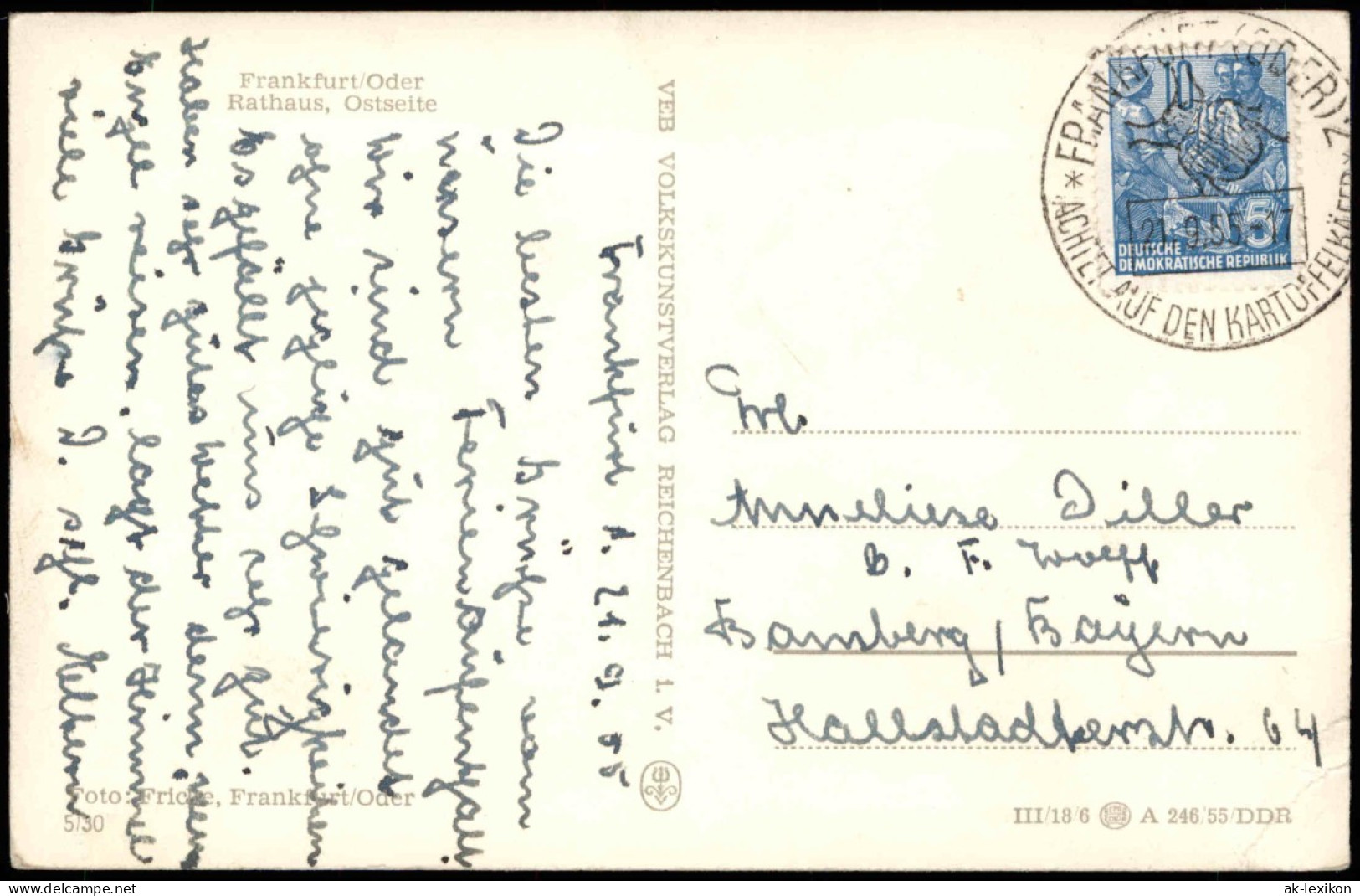 Ansichtskarte Frankfurt (Oder) Rathaus, Ostseite 1955 - Frankfurt A. D. Oder