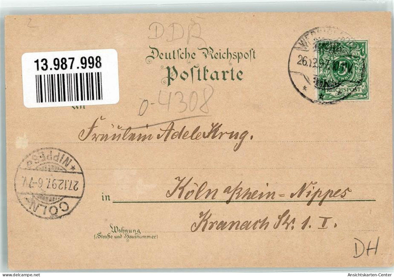 13987998 - Thale - Thale