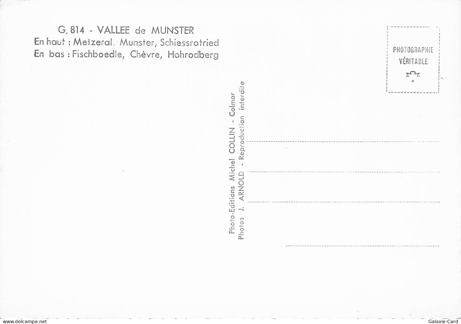 68 MUNSTER VALLEE DE MUNSTER - Munster
