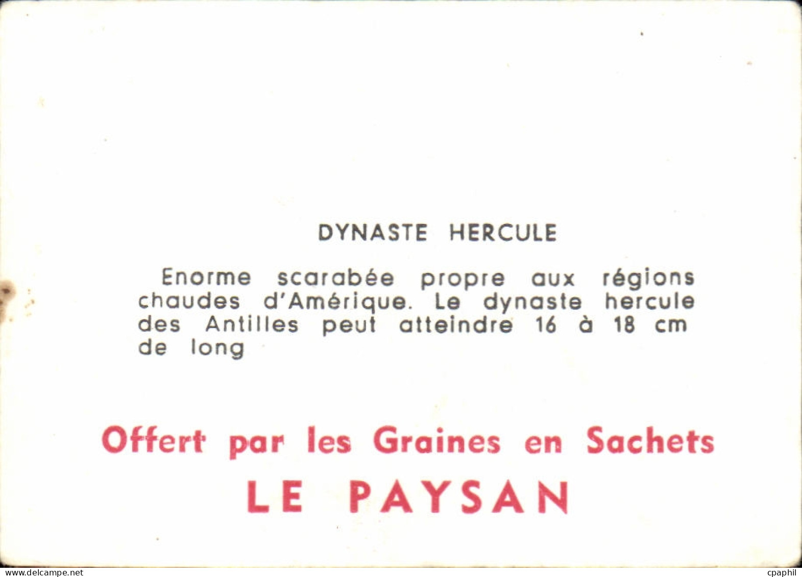 Image Dynaste Hercule - Autres & Non Classés