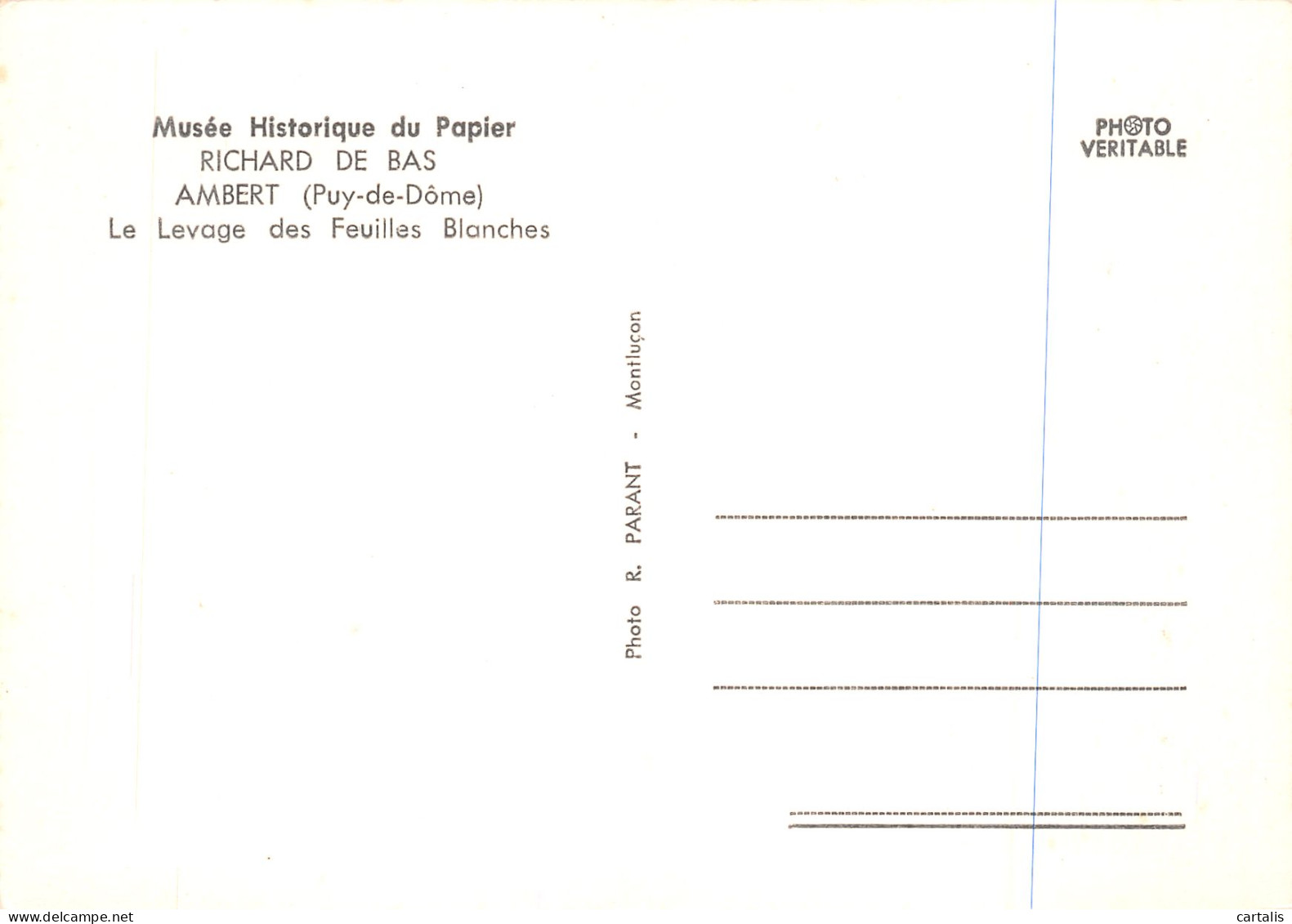 63-AMBERT-N°3826-A/0019 - Ambert
