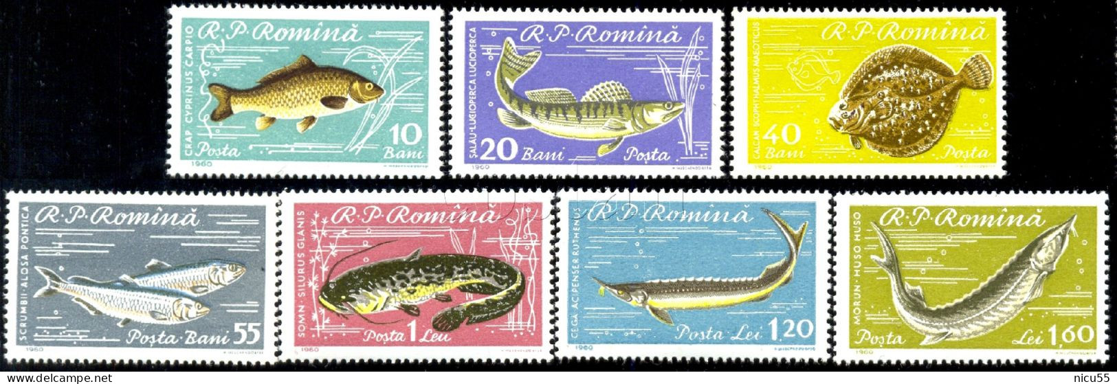 [Full Years**39**](https://www.delcampe.net/en_GB/collectables/search?slug=stamps/romania&categories%5B0%5D=14217 "Full Years")