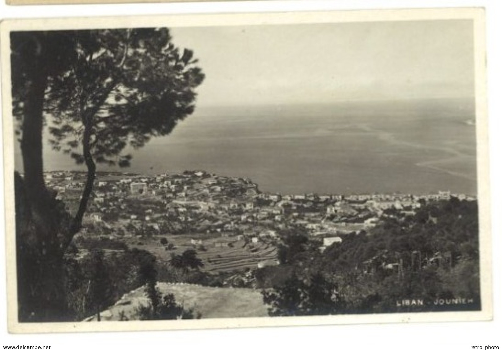 2 Cpsm Liban - Les Cèdres / Jounier - Libanon