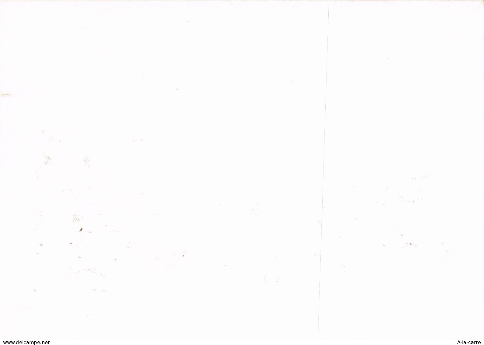 84 AVIGNON PALAIS DES PAPES - Avignon