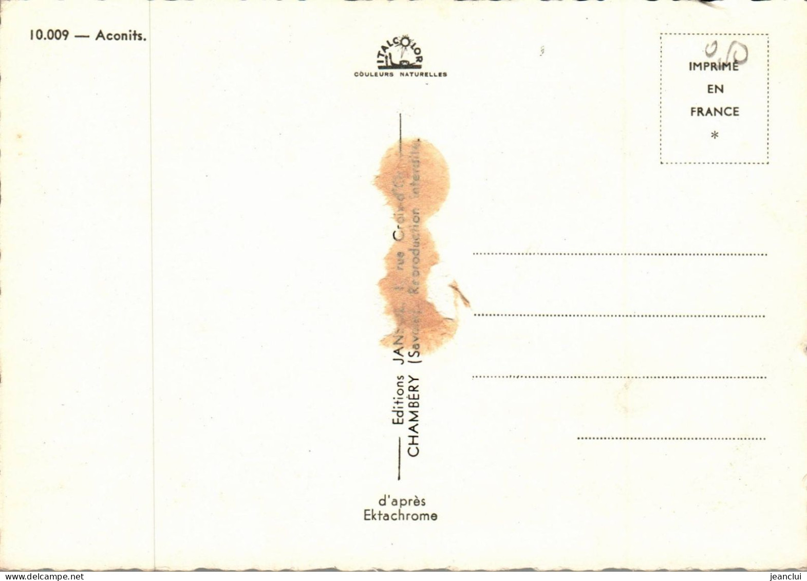 CPM .   ACONITS   .  CARTE NON ECRITE - Blumen
