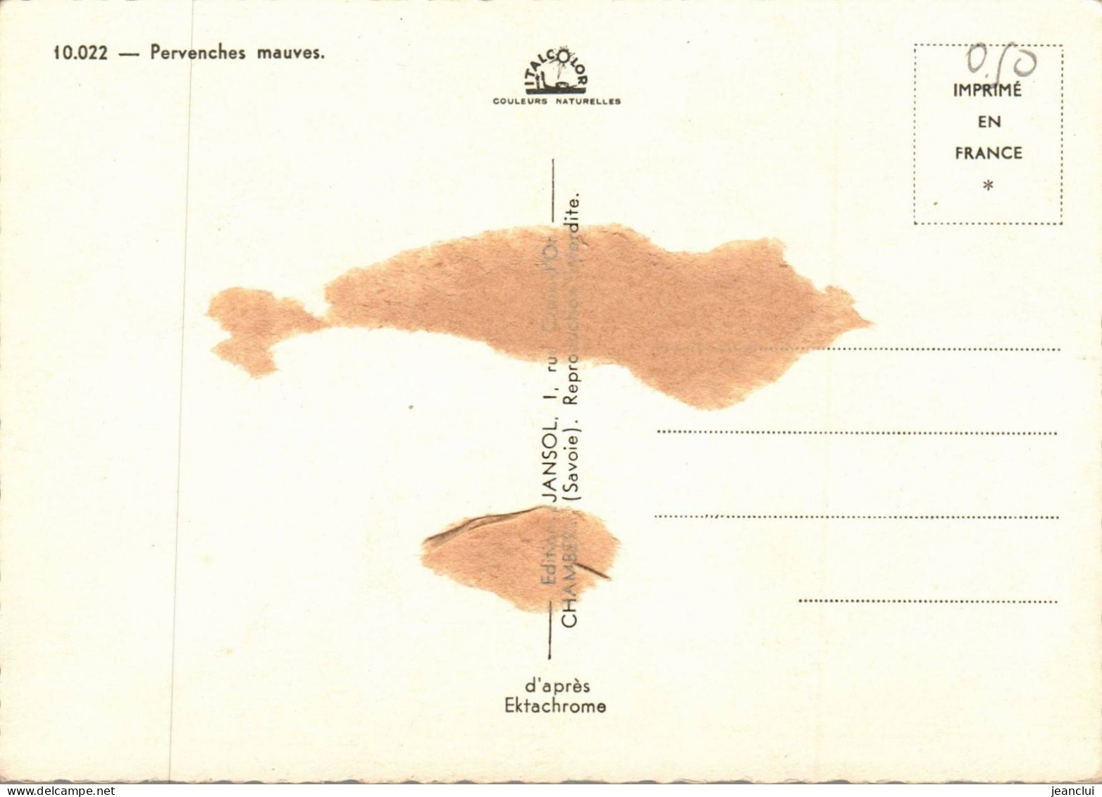 CPM .    PERVENCHES MAUVES   .  CARTE NON ECRITE - Blumen