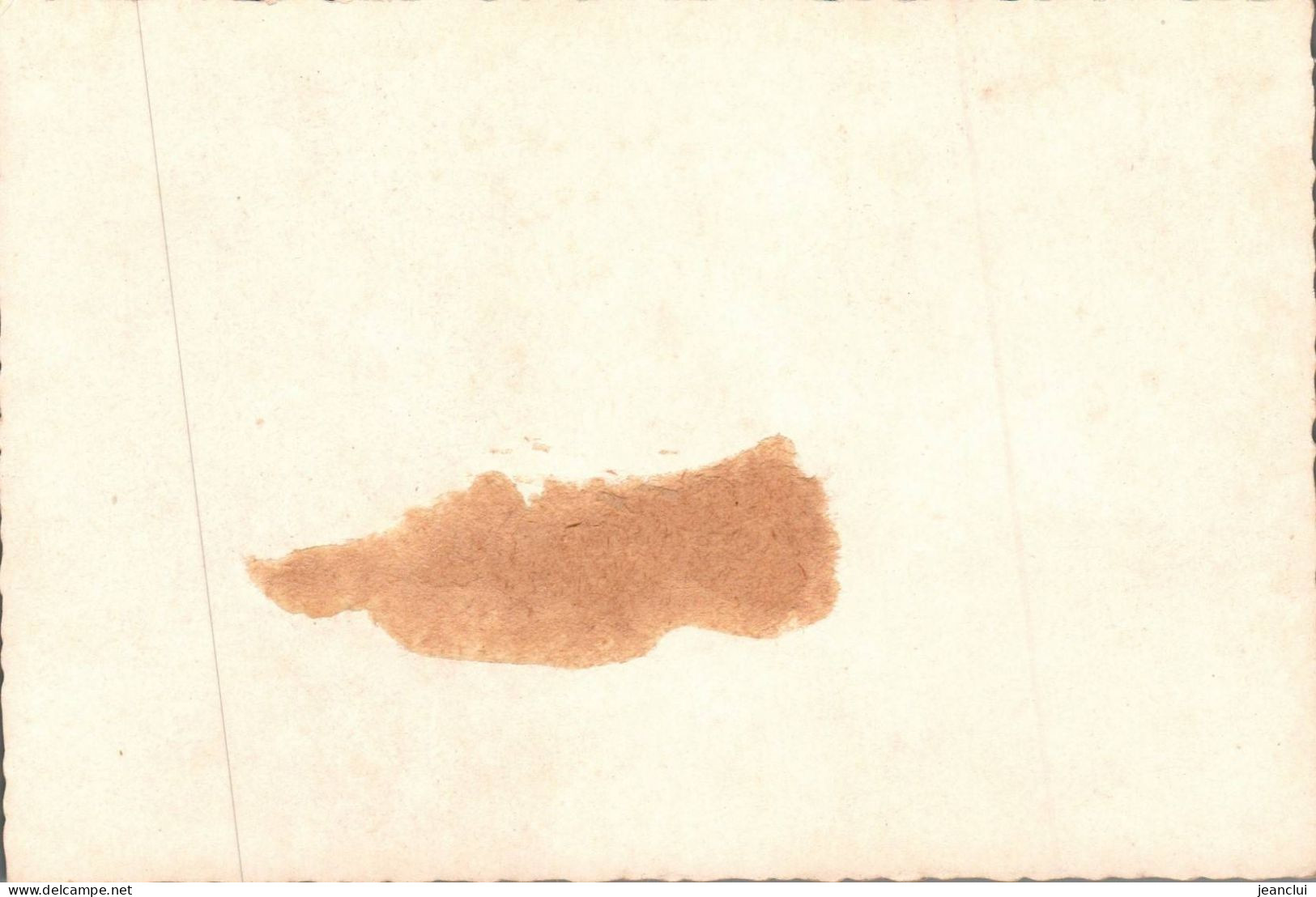 CPM .       .  CARTE NON ECRITE - Blumen