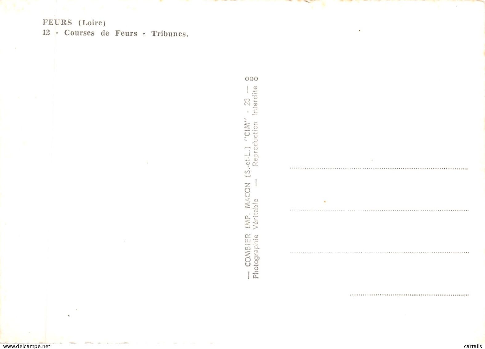42-FEURS-N 590-B/0253 - Feurs