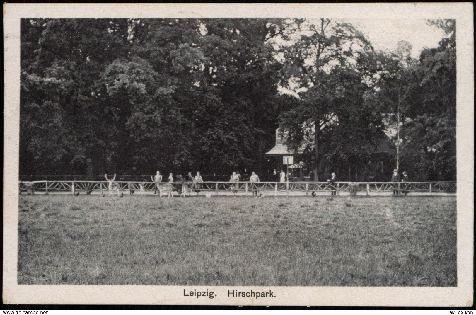 Ansichtskarte Leipzig Hirschpark 1928 - Leipzig