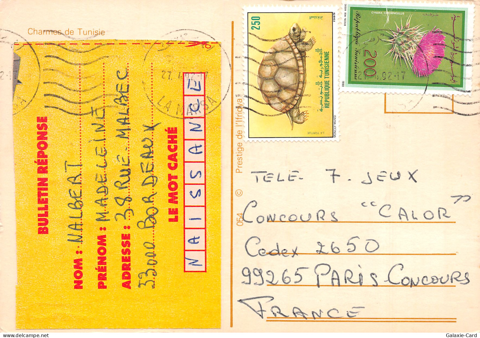 TUNISIE - Tunesien
