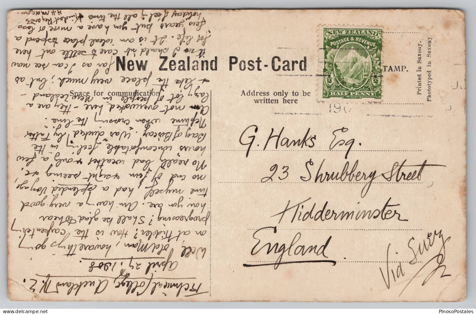 Waimangu Geyser Carte Postale Postcard - Neuseeland