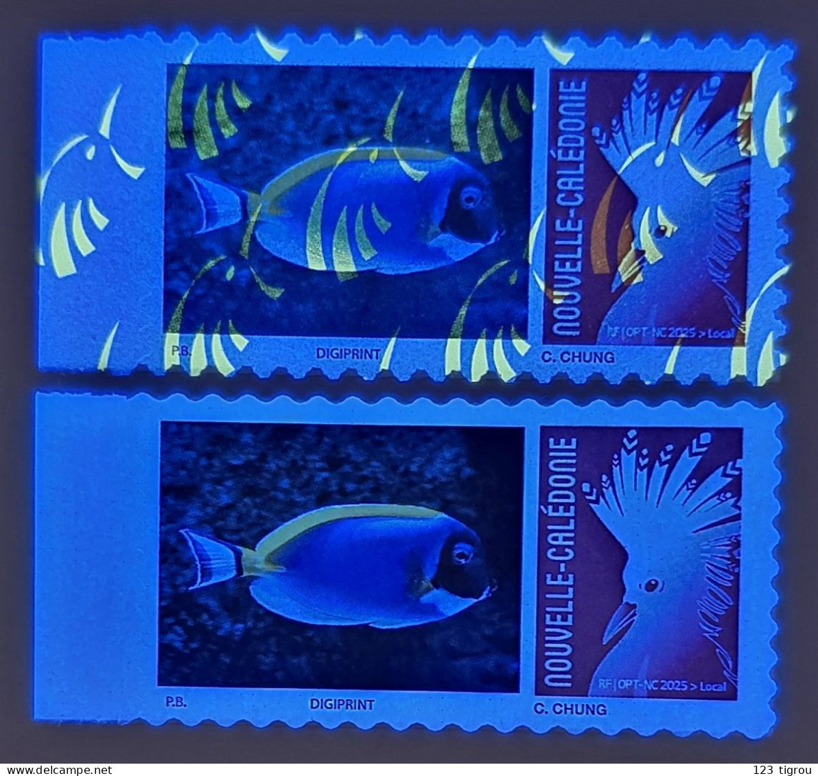 VARIETE CAGOU PERSONNALISE LOGO POISSON CHIRURGIEN A POITRINE BLANCHE 2025 EXTRAIT D'UNE FEUILLE DE 10 TIMBRES TB - Unused Stamps