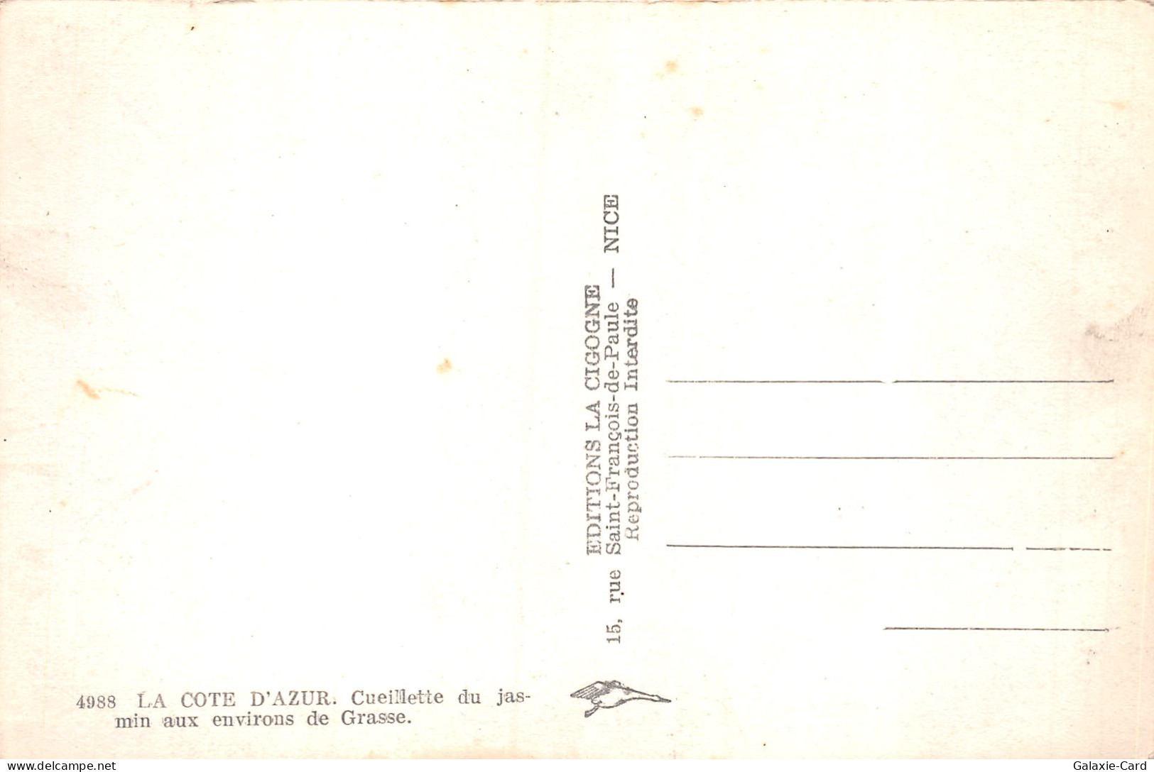 06 GRASSE - Grasse