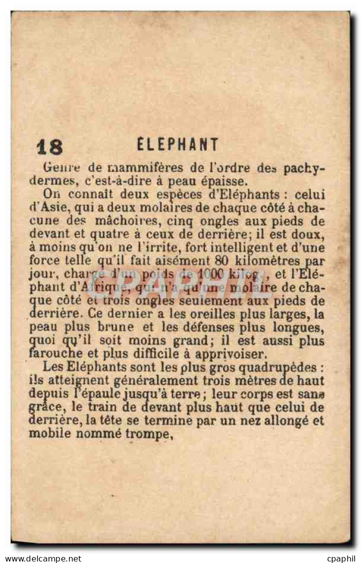 Chromo Elephant - Autres & Non Classés