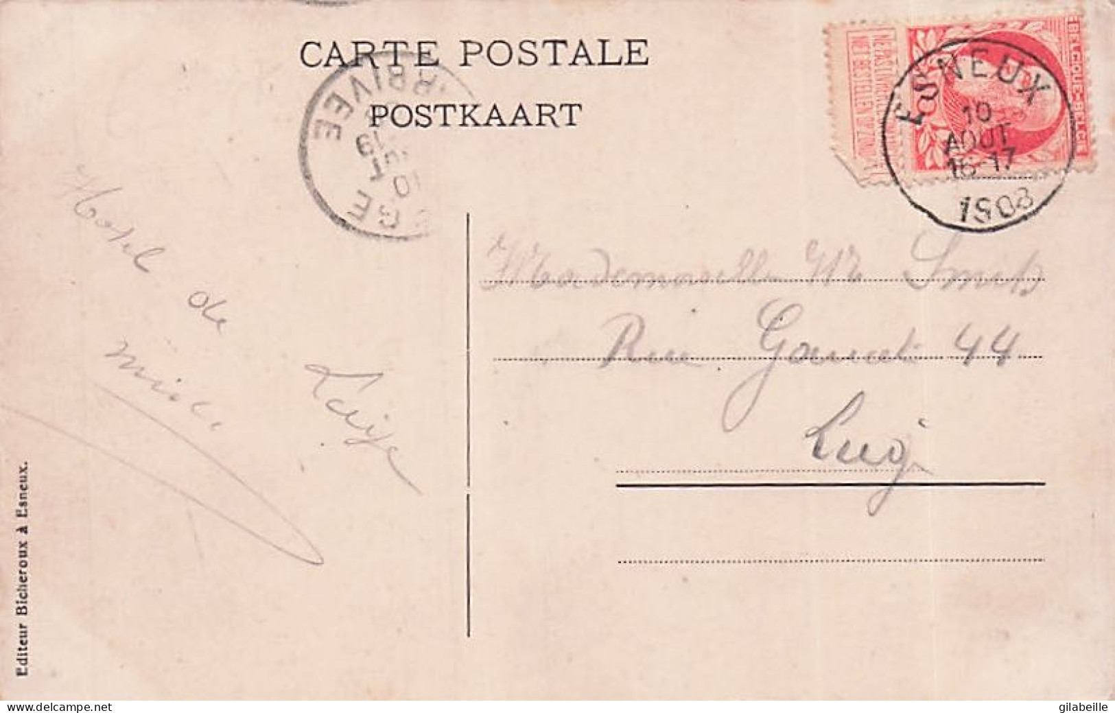 ESNEUX - Panorama  - 1908 - Esneux