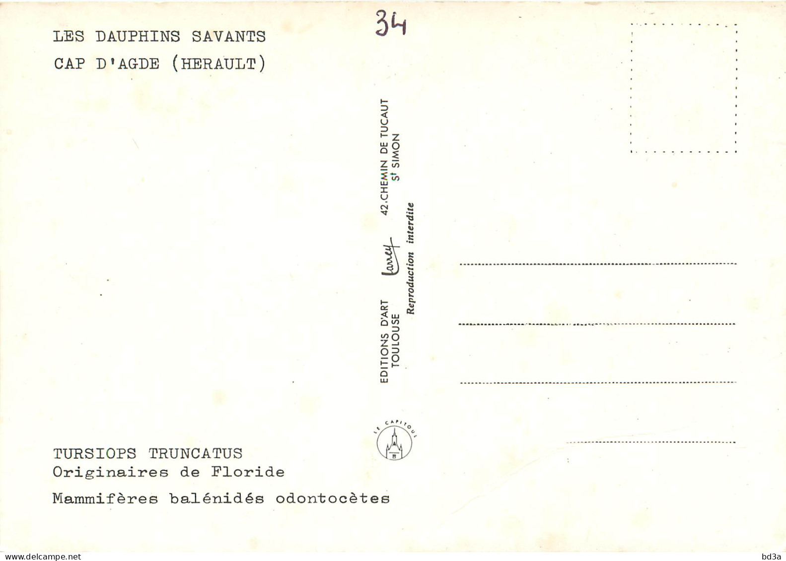 34 - LE CAP D'AGDE - Agde