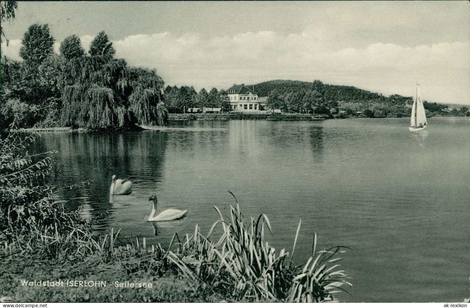 Ansichtskarte Iserlohn Sellesee - Schwäne 1964 - Iserlohn